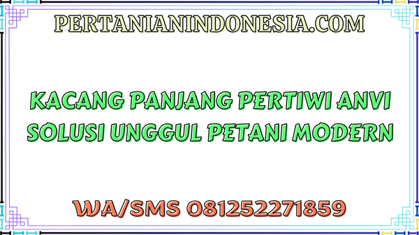 Kacang Panjang Pertiwi Anvi Solusi Unggul Petani Modern
